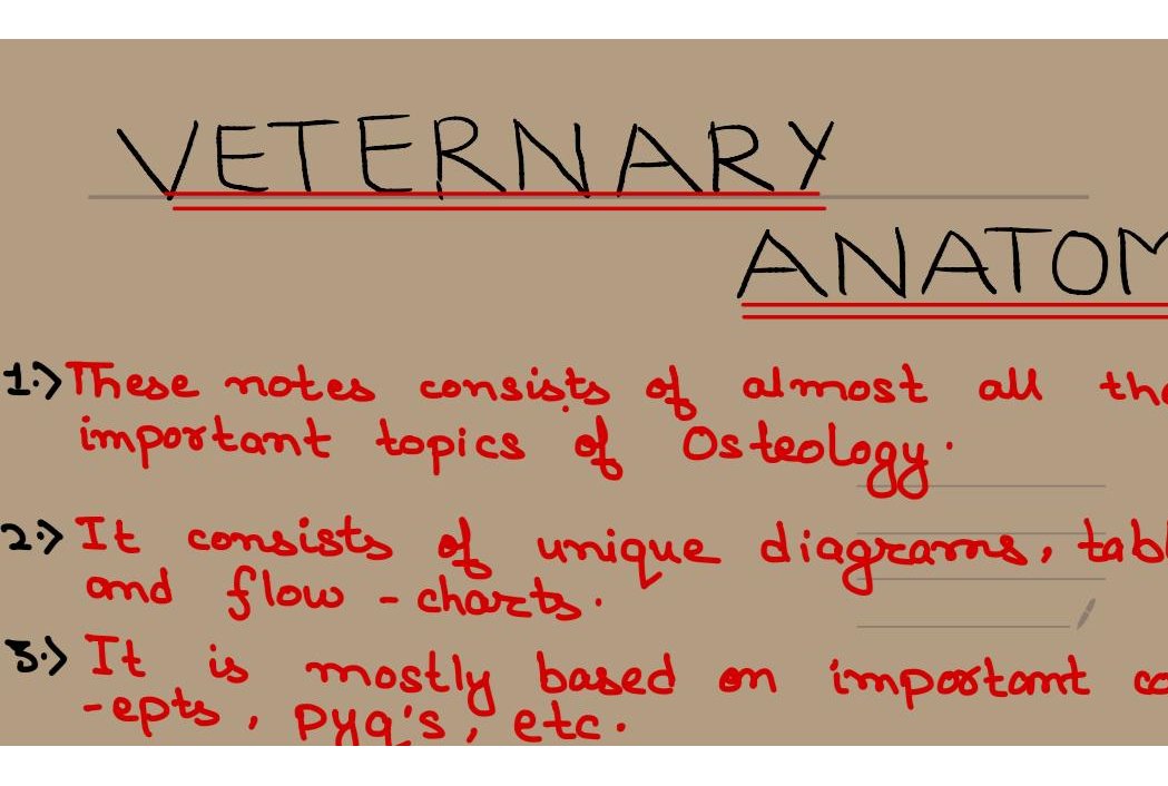 Veterinary anatomy consisting mainly of osteolgy