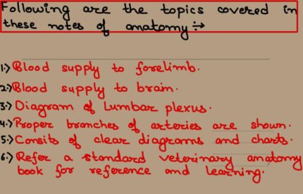 Blood Supply To Forelimb