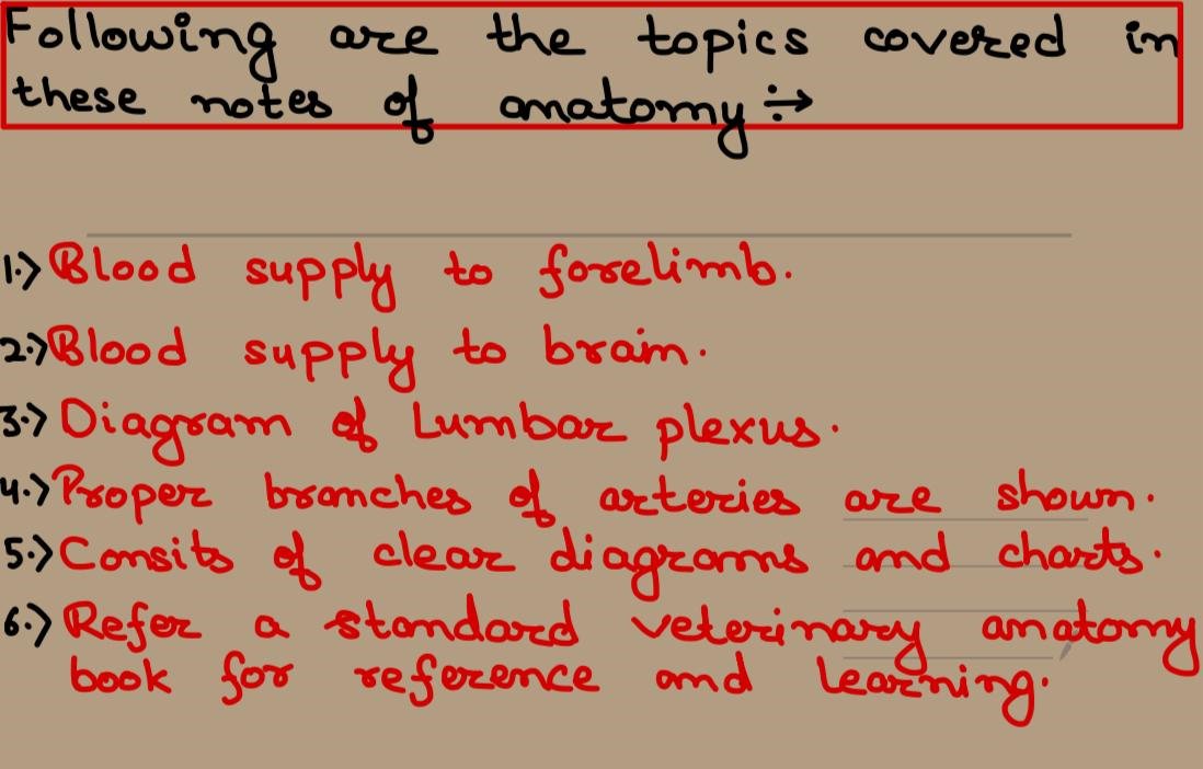Blood Supply To Forelimb