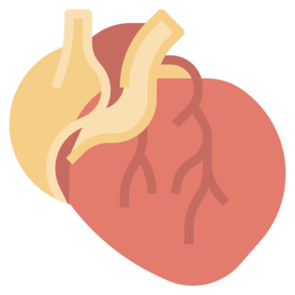 Physiology ist year (Topics covered are in description )