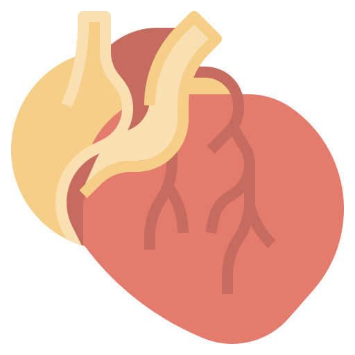 Physiology ist year (Topics covered are in description )