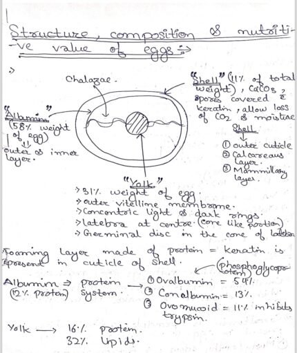 Egg and associated topics