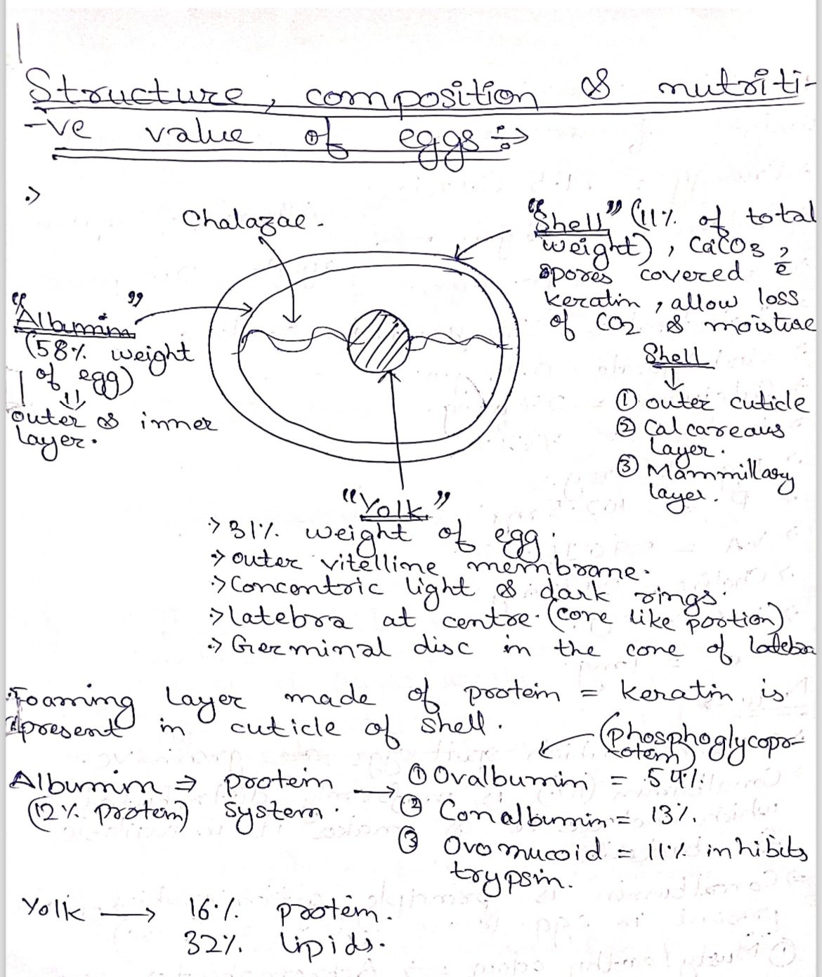 Egg and associated topics